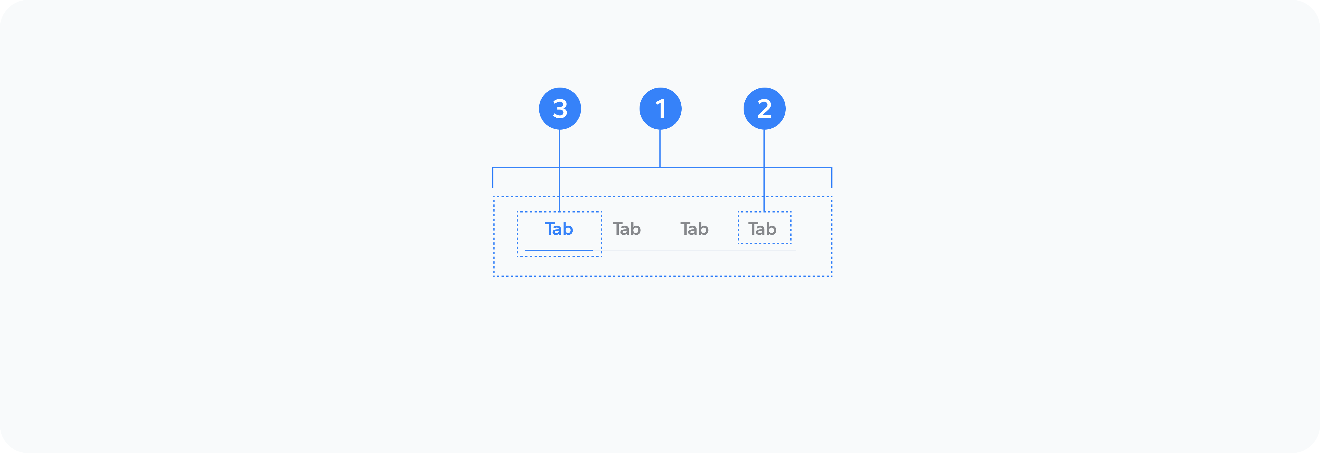 Tab Anatomy